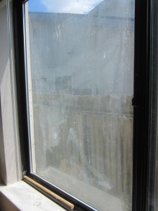 Window