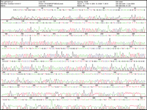 DNA sequencing