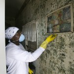 FEMA_-_24781_-_Photograph_by_Andrea_Booher_taken_on_10-23-2005_in_Louisiana