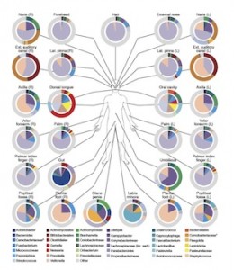 human-microbiome-300px-260x300