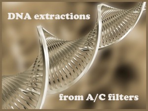 DNAExtraction copy