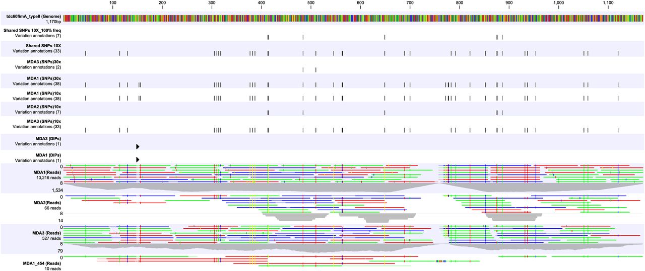 Genome of the pathogen Porphyromonas gingivalis recovered from a biofilm in a hospital sink using a high-throughput single-cell genomics platform