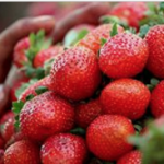 Strawberries  Source: Wikipedia.org