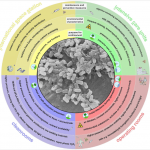 Graphical display of the confined habitats addressed in this review