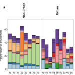 Relative abundances of the 20 most abundant OTUs in the different plants