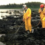 Bioremediation. Source: http://bioremediationremedies.tumblr.com/